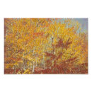 Suche nach licht und schatten poster Wald