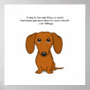 Suche nach niedliche dackel poster Weiner