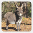 Suche nach esel aufkleber Natur
