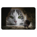 Suche nach katze gegen maus magnete Katzen