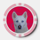 Suche nach hund poker chips Niedlich