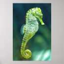 Suche nach aquarium kunst Unterwasser