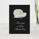 Suche nach lilly karten Schwarzes