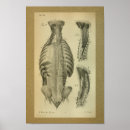 Suche nach 1850 poster Vintag