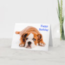 Suche nach bulldogge postkarten Hündchen