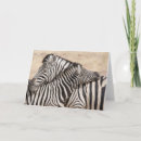 Suche nach zebras karten Tiere