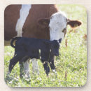 Suche nach zusammengehörigkeit untersetzer Landwirtschaft
