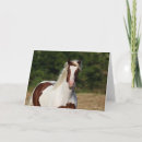 Suche nach haflinger karten Tier