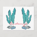 Suche nach algen postkarten Strand