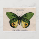 Suche nach vintage butterfly postkarten Illustration