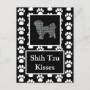 Suche nach shih tzu hunde postkarten Tiere