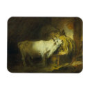 Suche nach stabil magnete Tier