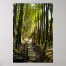 Suche nach bambuswald poster Japan