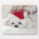 Suche nach schöne hunde mousepads Weihnachten