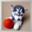 Suche nach niedliche welpen poster Hunde