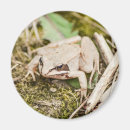 Suche nach niedlicher frosch magnete Amphibien