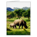 Suche nach stoßzähne postkarten Stoßzahn