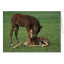 Suche nach morgan postkarten Foto