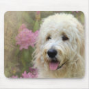 Suche nach azalee mousepads Rhododendron