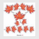 Suche nach ahorn aufkleber Rückgang