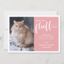 Suche nach robust karten Foto