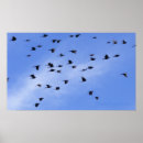 Suche nach wing poster Black