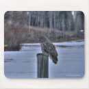 Suche nach esel computerzubehör Eule