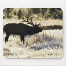 Suche nach in yellowstone mousepads Natur