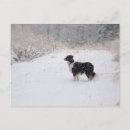 Suche nach border collie karten Schnee