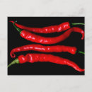 Suche nach chili postkarten Gewürz