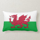 Suche nach flagge von wales kissen Großbritannien
