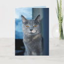 Suche nach sie sind eine coole katze karten Haustiere