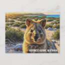 Suche nach quokka poster Tierwelt