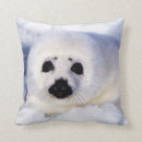 Suche nach harfen kissen Niedlich