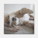 Suche nach keine kamera magnete Liegen