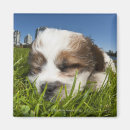 Suche nach vancouver magnete Stadtbild