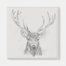 Suche nach häuschen magnete Tier