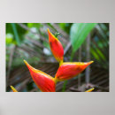 Suche nach peru poster Farbig