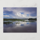 Suche nach alles ist ruhig postkarten Ruhige szene