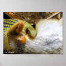 Suche nach schlangen poster Fotografie