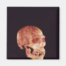 Suche nach homo magnete Mann