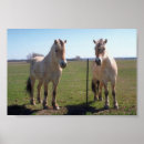 Suche nach fjorde poster Pferde