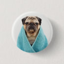 Suche nach im gesicht buttons Welpe