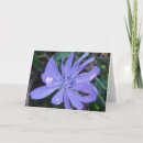 Suche nach hübsche blaue blume karten Blätter