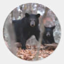 Suche nach schwarze bären aufkleber Für wildtiere