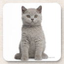 Suche nach babytier untersetzer Tierporträtkunst