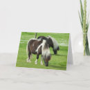 Suche nach ponys karten Pferd