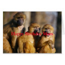 Suche nach kleiner affe karten Kleine affen