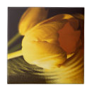 Suche nach romantische blumen fliesen Für sie