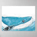 Suche nach blauwal poster Ozean